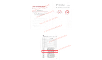 2019年度陕西省压球手机在线官网-压球（中国）造价咨询行业二十强企业