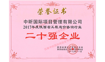 2017年度陕西省压球手机在线官网-压球（中国）造价咨询行业二十强企业